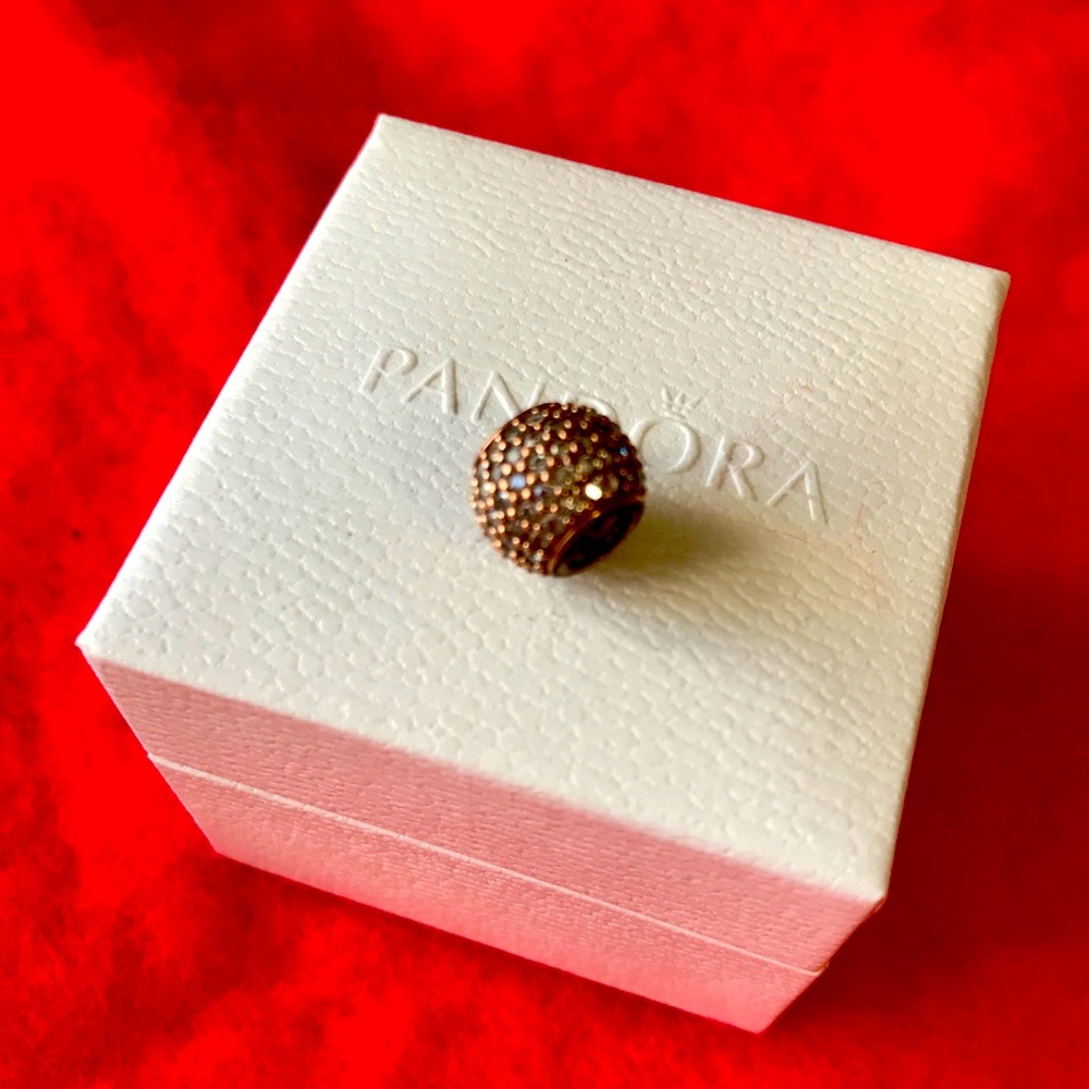 Pandora bracelet charm